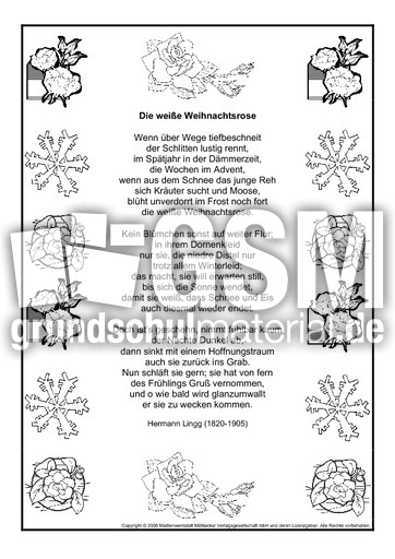 Die-weisse-Weihnachtsrose-Lingg.pdf